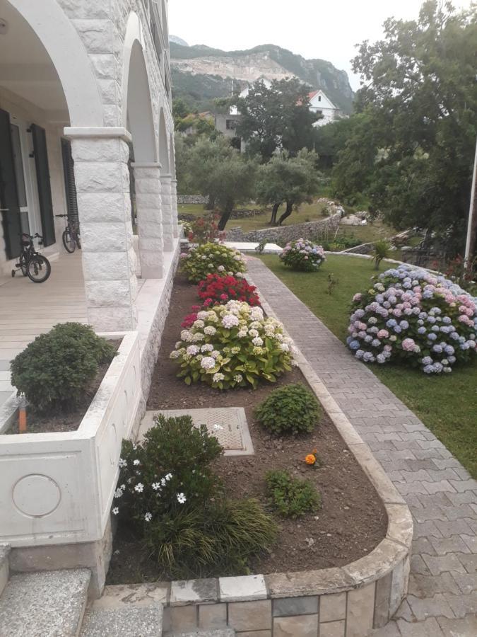 Apartmani Andrea Herceg Novi Exteriör bild
